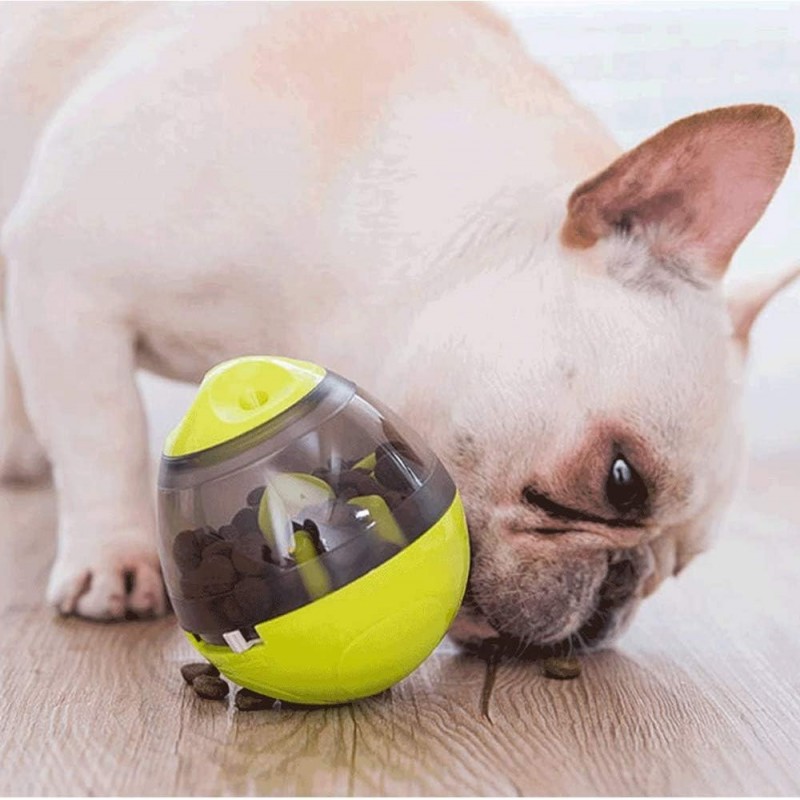  balle de friandises pour chien